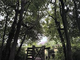 Gate onto colemere circular walk