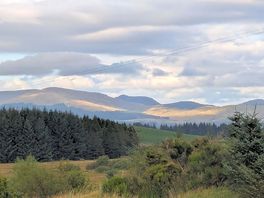 View from site