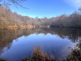 Guest fishing with two lakes