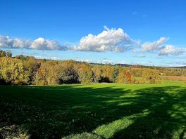 Walk into houghton on the hill