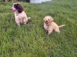 River patrol: zero fish caught, 100% cuteness secured.