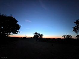 Star filled sky.