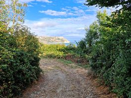 Beautiful coastal walks direct from campsite.