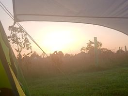 Sundown atcclover farm