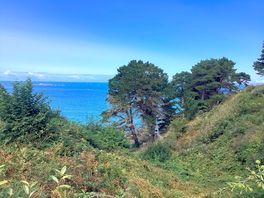View from campsite