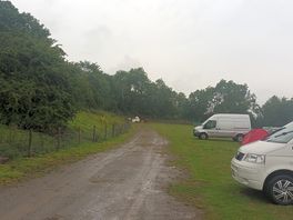 One strip to the right, very muddy. main carriageway directly behind bushes on the left.