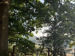 View from the on-site trampoline.