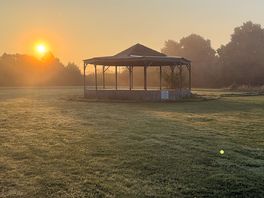 Morning dew