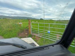 Entrance from the road. drive through first field to get to camping field.