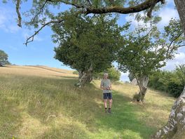 Walk directly from the campsite.