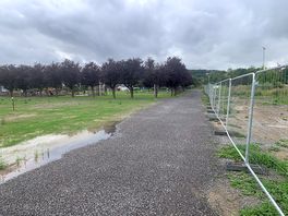 Edge of campground