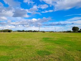 Field