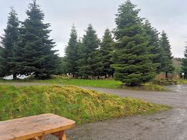 Every pitch has a picnic bench, really useful