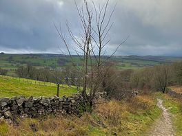 View from the circular walk
