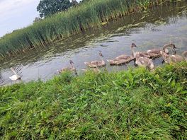 Canal walk to garstang
