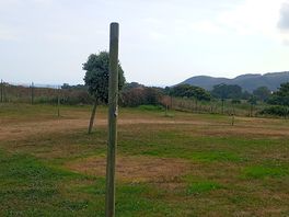Camping cabo de ajo