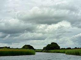 View on the lake while kayaking