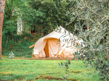 Bell tent surrounded by trees