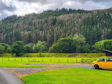 Grave and grass pitches available