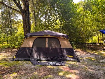 Wild camping among the trees