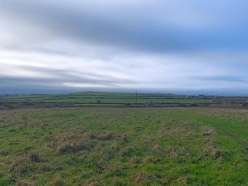 Grass pitches