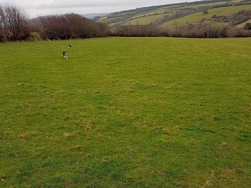 Secluded camping field