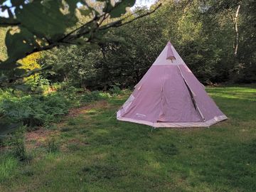 Area to camp
