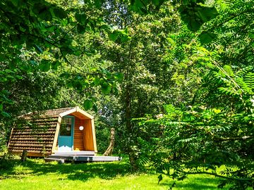 Cabin amongst lush greenery