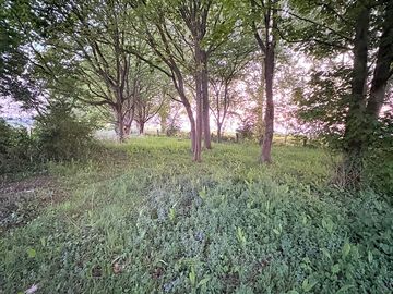 Non-electric forest floor tent pitch