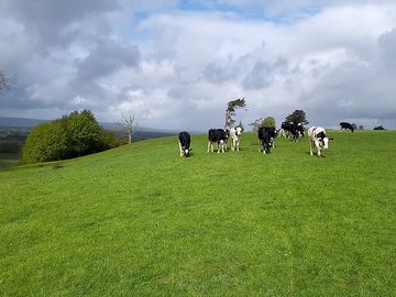 Working farm
