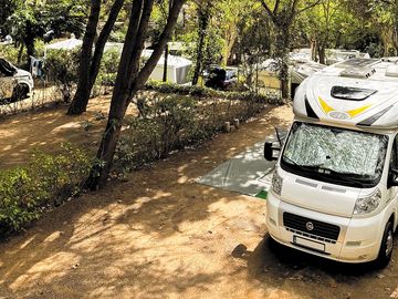 Parcela con mucha sombra y árboles
