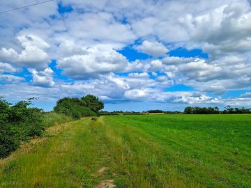 Lovely little walk round the fields