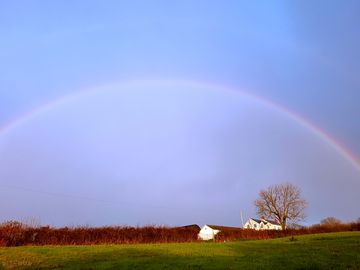 Rainbow