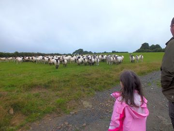 Farm tour
