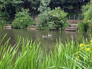 Wildlife to spot
