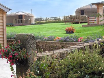 Summer at the site