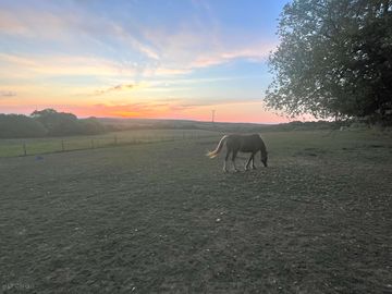 Peaceful sunset scene