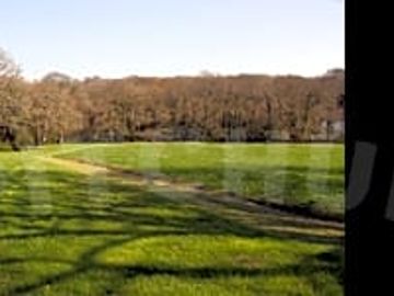 The meadow