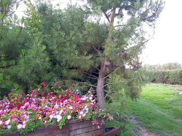 Entrance to the glampsite