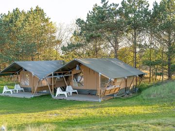 Safari tent