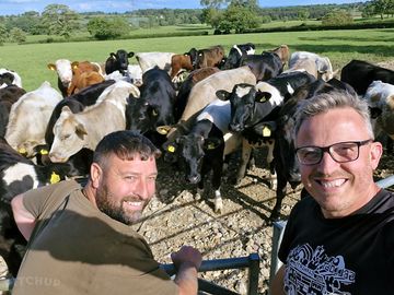 Resident cows