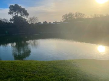 Lake 3