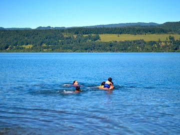 Swimming in the lake