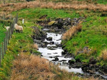 Stream alongside the site
