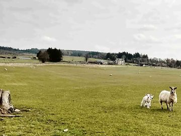 Views around site