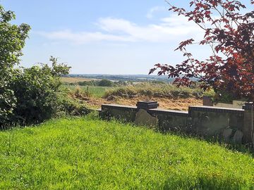 Site views