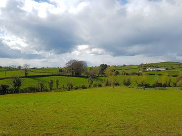 View of the grass tent pitches