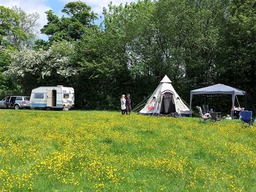 Bank holiday weekend with buttercups and blossom