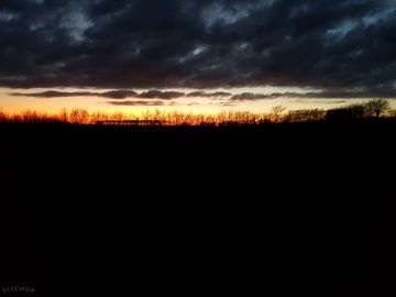 Sunset on the farm