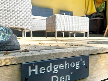 Welcome to hedgehog's den